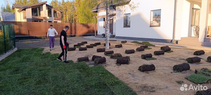 Укладка рулонного газона от производителя