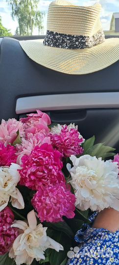 Пионы букет