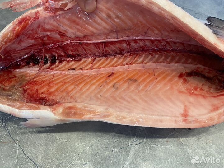 Лосось охлажденный (сёмга) Мурманск