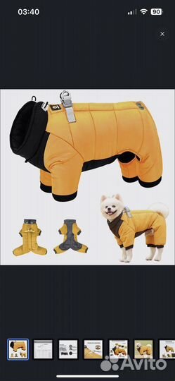 Зимняя одежда для собак