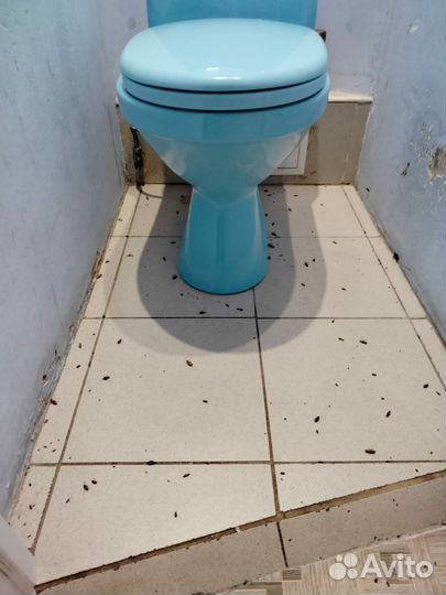 Уничтожение тараканов,клопов,мышей,плесени,запахов