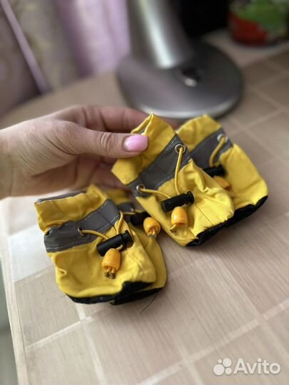 Обувь для собак