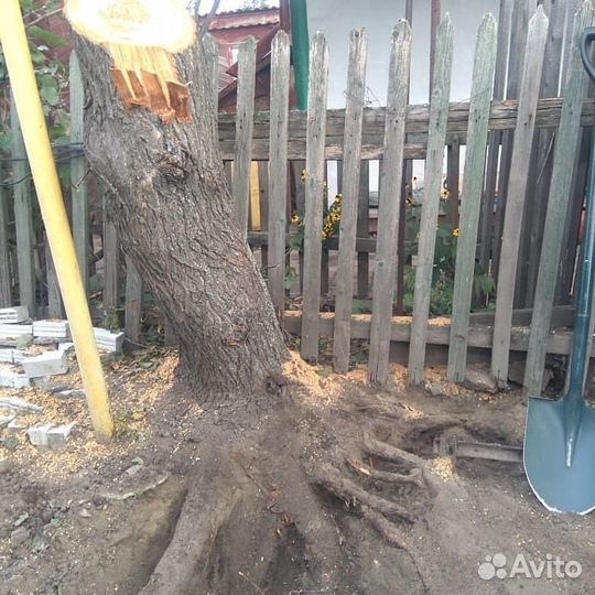 Уборка расчистка участка