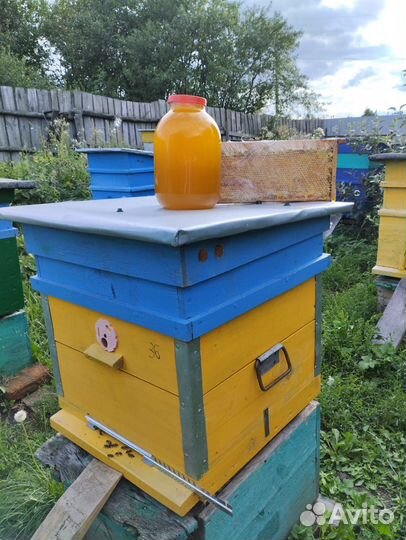 Мёд разнотравье