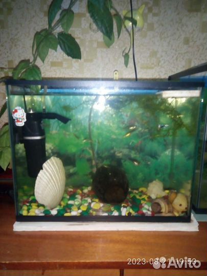 Аквариум 20 литров