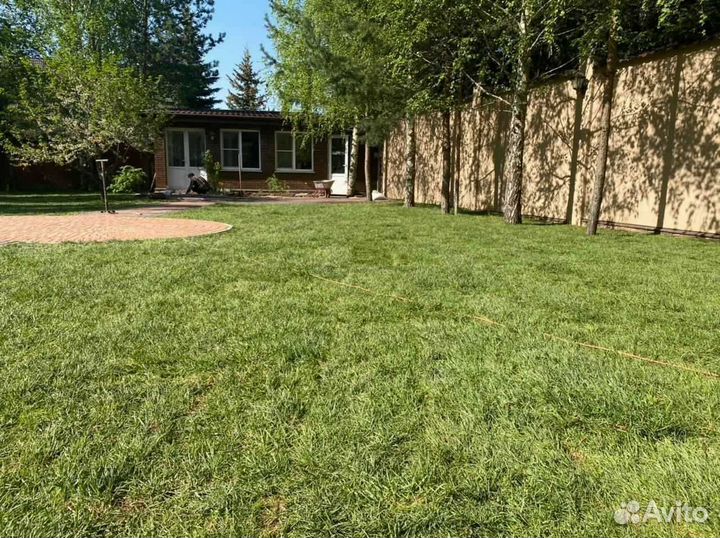 Рулонный газон /продажа/укладка