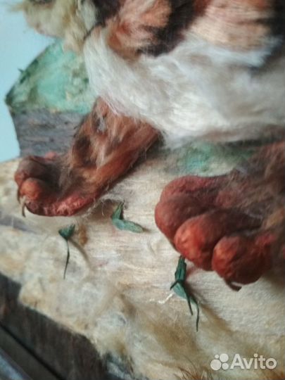 Картина Тигр.кндр.80-е