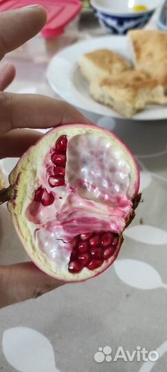 Саженец граната