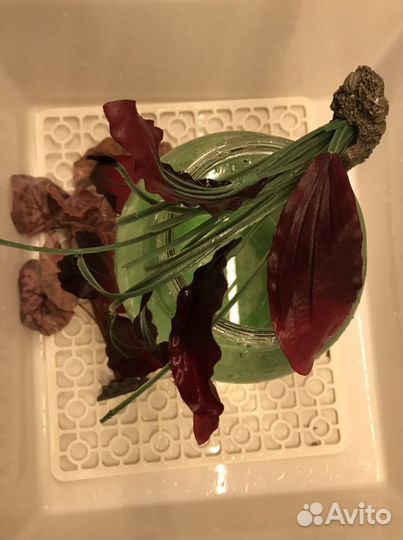 Искусственные растения для аквариума