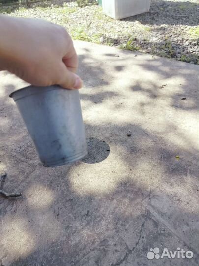 Стаканы для рассады