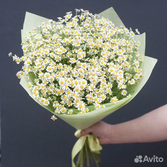 Букет из ромашек 11,15,21,25,51,101