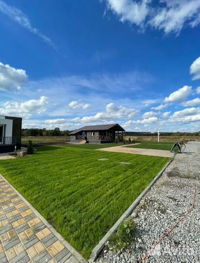 Газон и автополив. Под ключ