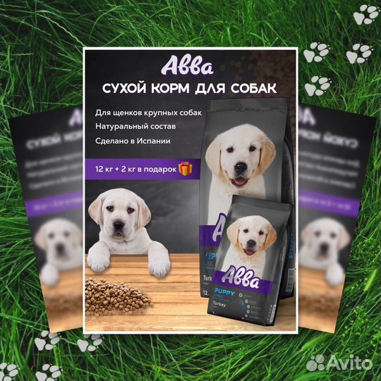 Инфографика для маркетплейсов дизайн карточки