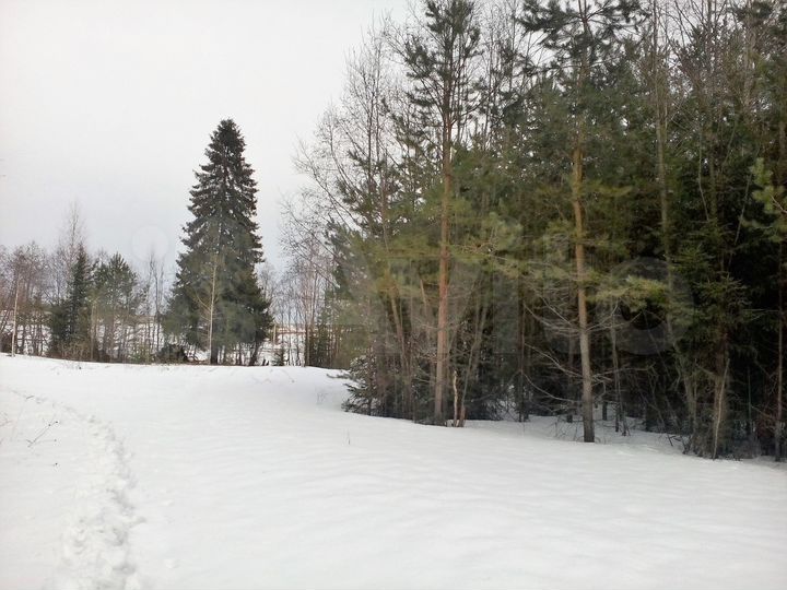 Участок 1,16 га (ИЖС)