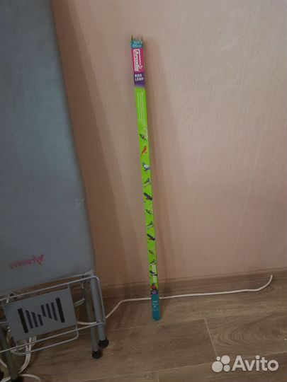 Лампа для птиц