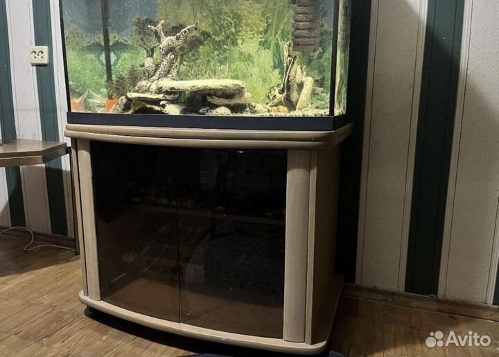 Тумба под аквариум 200 литров