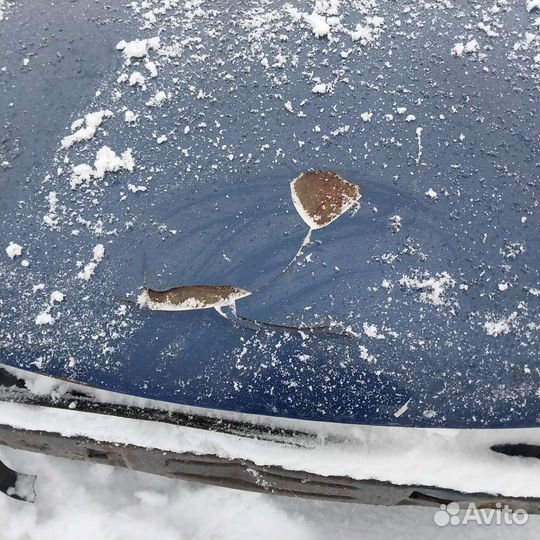 Капот opel calibra с дефектом