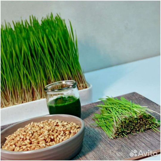 Витграсс натуральные витамины