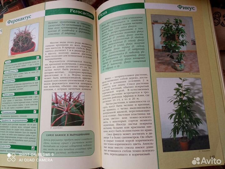 Новейшая энциклопедия комнатных растений