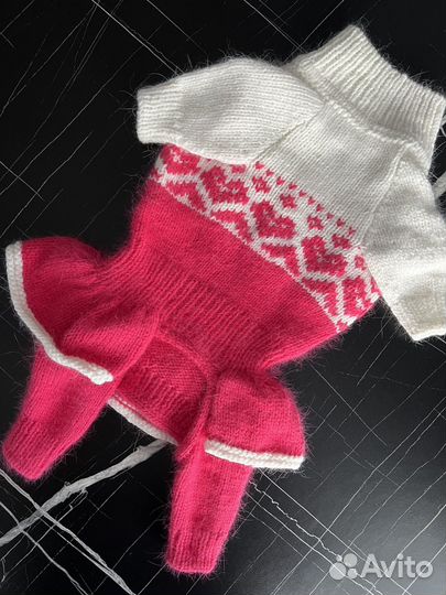 Одежда для собак мелких пород