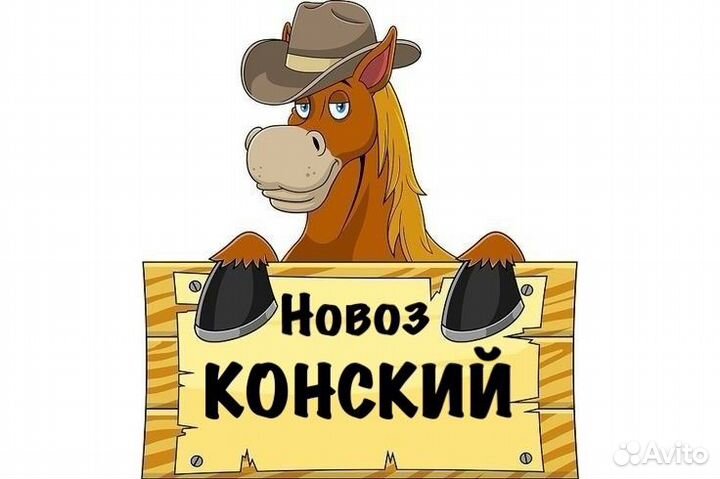 Новоз конский