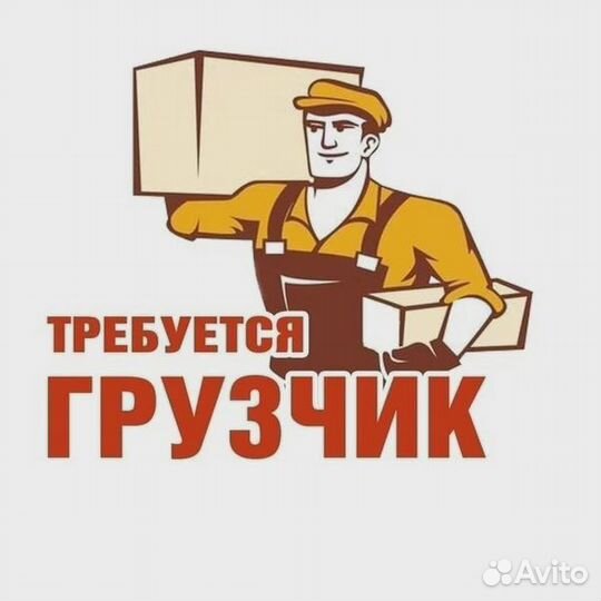 Грузчик ежедневные выплаты
