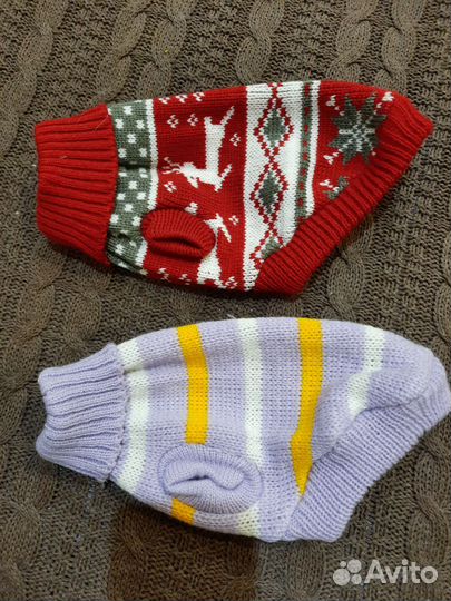 Одежда для мелких собак