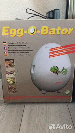 Инкубатор для яиц рептилий