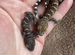 Рептилии гекконы змеи маисы