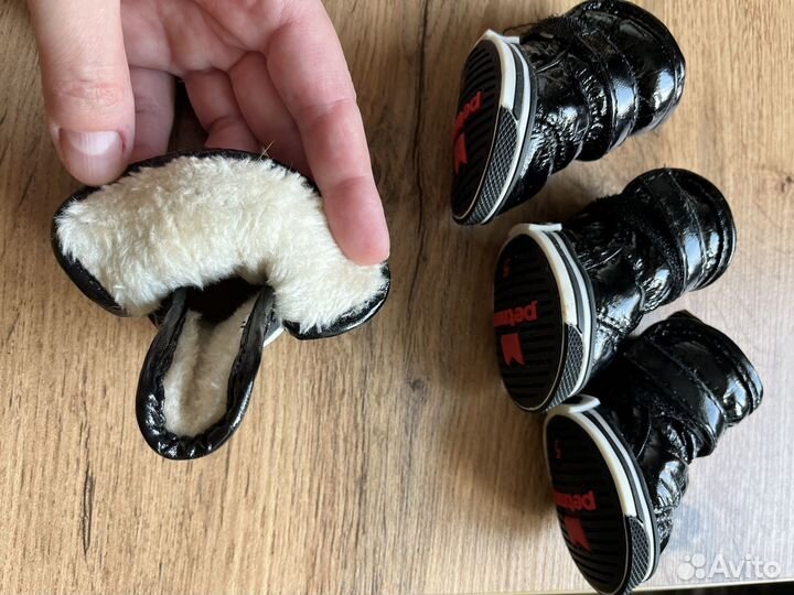 Обувь для маленьких собак