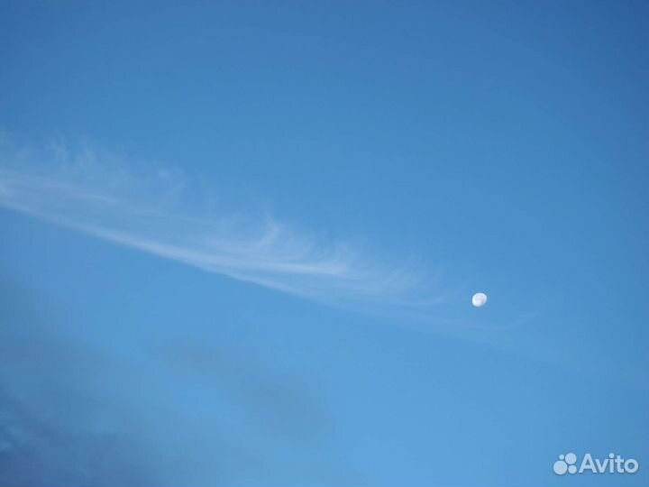 Фотографии