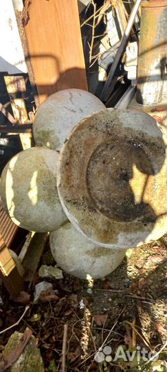 Для растений цветы