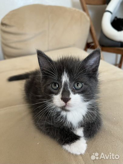 Мальчик 1,5 месяца