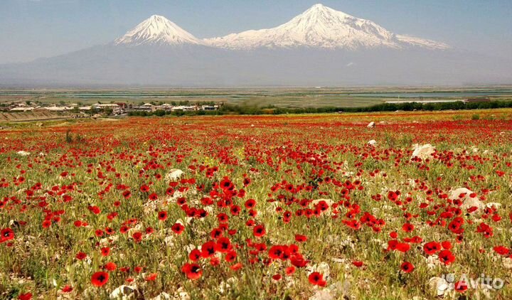Путешествие в Армению от 1 человека