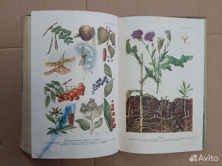 Учебники СССР