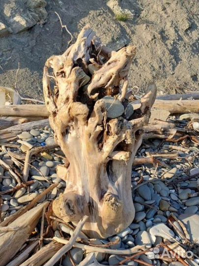 Крупный дрифтвуд. Брёвна, коряги, пни. Под заказ