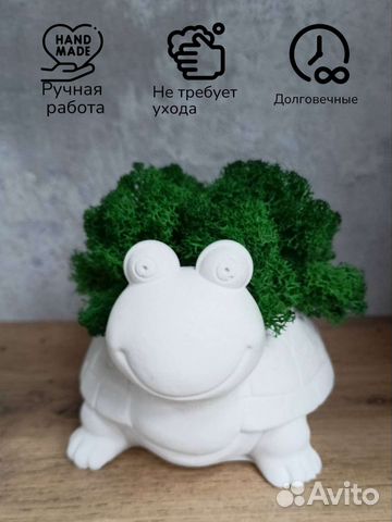 Стабилизированный мох в кашпо