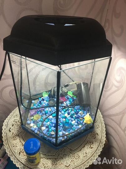 Аквариум