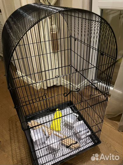 Клетка для попугаев большая новая