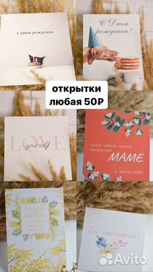 Флорариум суккуленты эхеверии