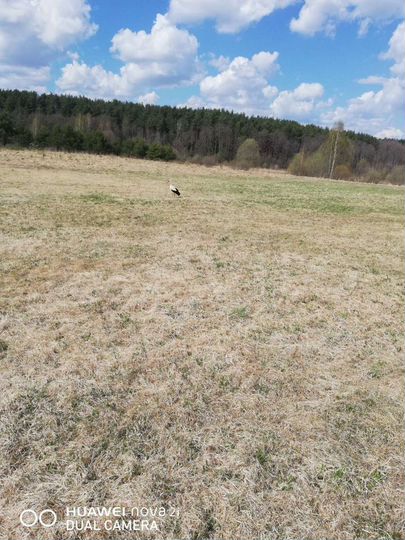 Участок 100 сот. (СНТ, ДНП)