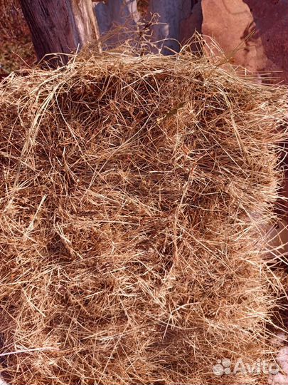 Сено в тюках