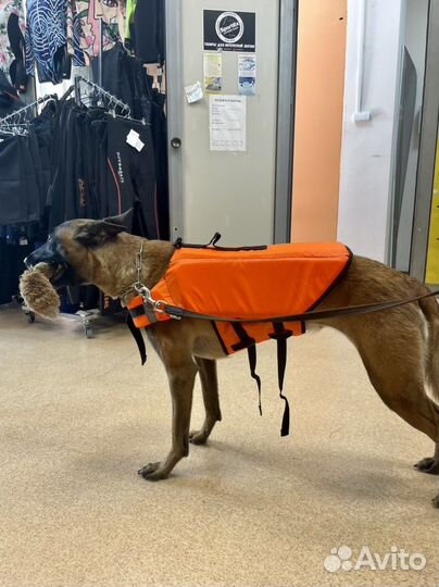 Жилет спасательный для собак