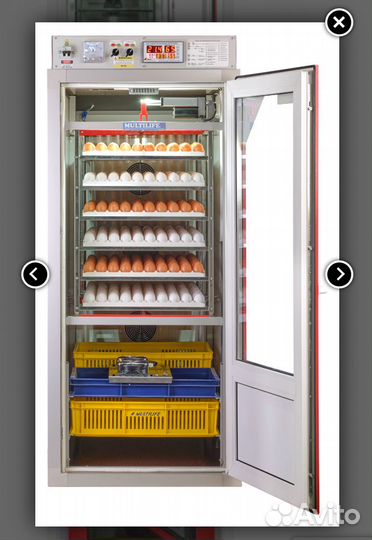 Инкубатор универсальный Мультилайф