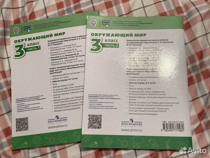 Рабочая тетрадь окружающий мир 3 класс