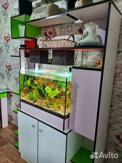 Аквариум