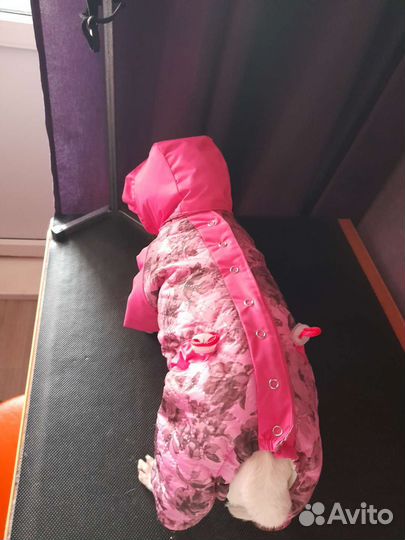 Комбинезоны для собак мелких пород