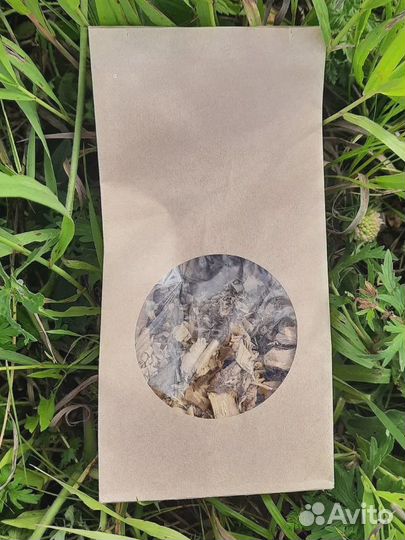 Корень шиповника