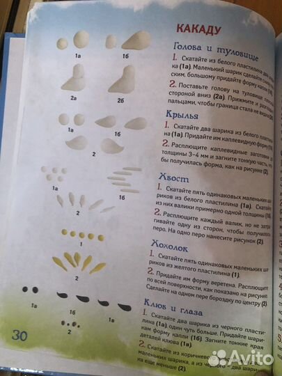 Книги. Творчество