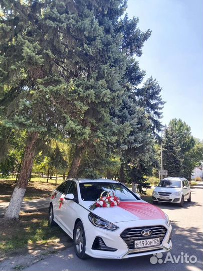 Аренда авто на свадьбу